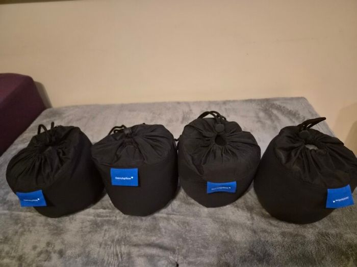 Ostrich Go Travel Pillow