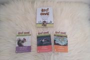 Bio Dive Cards