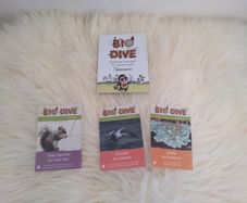 Bio Dive Cards