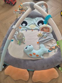 Baby gym/activity mat