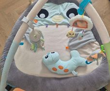 Baby gym/activity mat