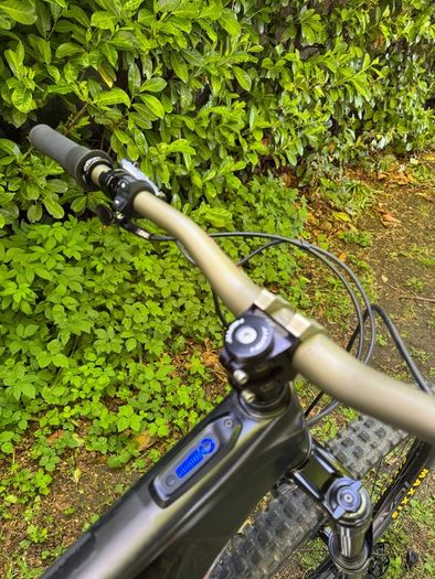 Electric S Works Levo SL