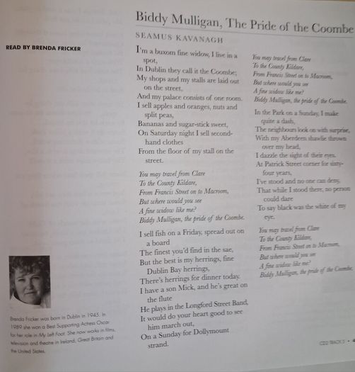 Voices & Poetry of Ireland with 3 CDs