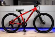 Rockrider ST900 Junior Bike 24 inch (Like New)