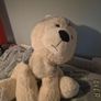 Large Dog Teddy Image 2