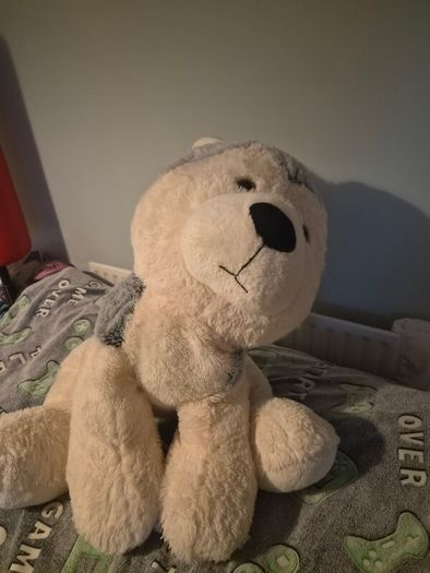 Large Dog Teddy