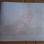 1971 Willard Pressbook & Press Kit Synopsis & Press Photos Image 5