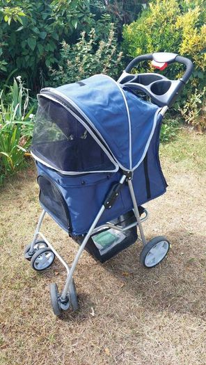 dog buggy