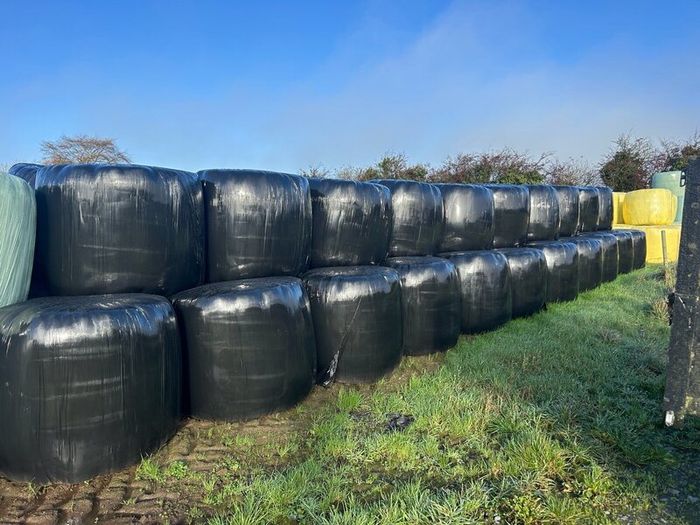 Bales