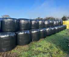 Bales
