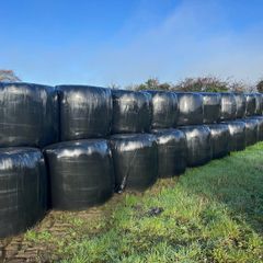 Bales