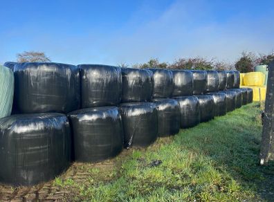Bales