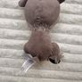 Disney Frozen Baby Sven Grey Reindeer Plush approx. 18 cm. loose horns Image 10