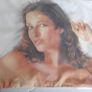 New Lynx pillow case unopened Image 2