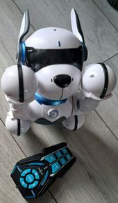 Ziggy the robot dog