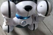 Ziggy the robot dog