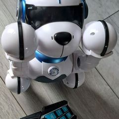 Ziggy the robot dog