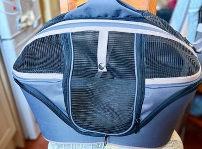 Pet Carrier Bag