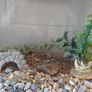 Fish tank Image 4