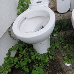 toilets