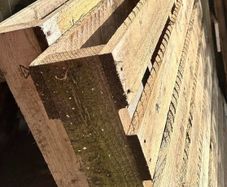 2 free wooden pallets
