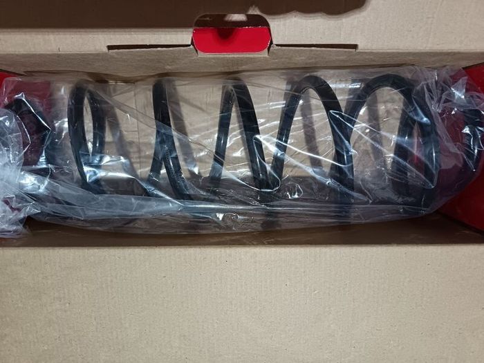 Citroen C5 Front Coil Spring