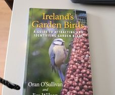 Irelands Garden Birds book