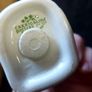 salt and pepper carrigaline pottery,cork Ireland shamrock set gold rim ,nice condition,buyer collects or pays postage thank you, sold as is Image 10