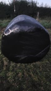 135 Round bales of silage