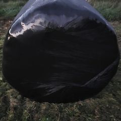 135 Round bales of silage