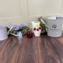 Garden & Botanical Decor Bundle, Metal Watering Cans, Glass Mister & Strawberry Pitcher (5 Pieces) Image 2