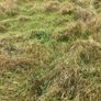 Silage free. No charge. Image 2