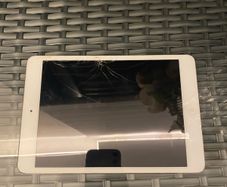 i pad mini