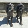Superb Pair of 19th Century Chinese Antique Bronze Figurines depicting Lions Image 6