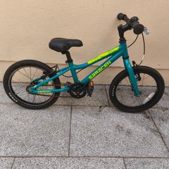 Saracen Mantra 16