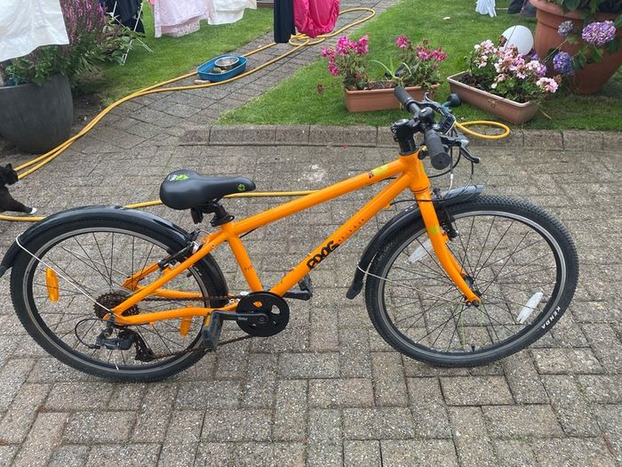 Frog Bike