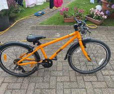 Frog Bike