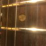 Telecaster Image 3