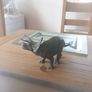 Papo Figurine of a Triceratops Dinosaur Image 3