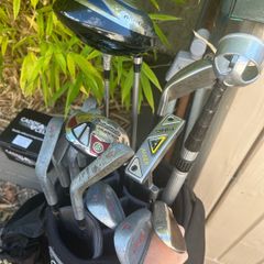 Folding Electric Golf Caddy/Trolley & Clubs & Accessories