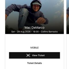 2x Mac Demarco tickets Collins Barracks Dublin