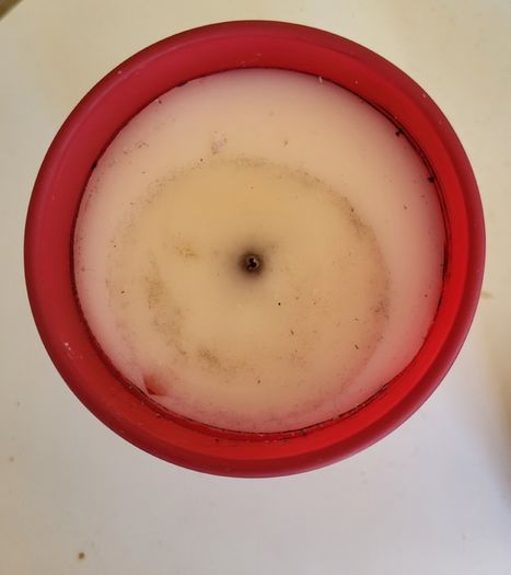 Candle