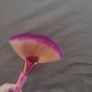 makeup brush Image 2