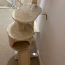 cat climbing tree Image 3