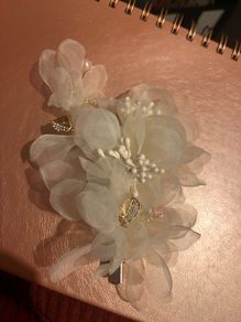 Champagne colour hair clip