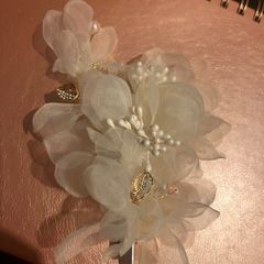 Champagne colour hair clip