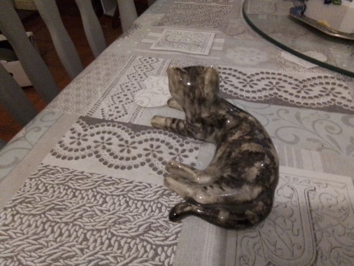 Another pair of cats