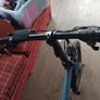 fiido d11 folding electric  bike Image 4
