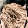 Soft Grey Flower hair clip Elegant & Versatile Image 3
