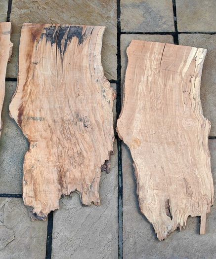 5 Live Edge Hardwood Slabs for Epoxy Resin / Coffee Tables